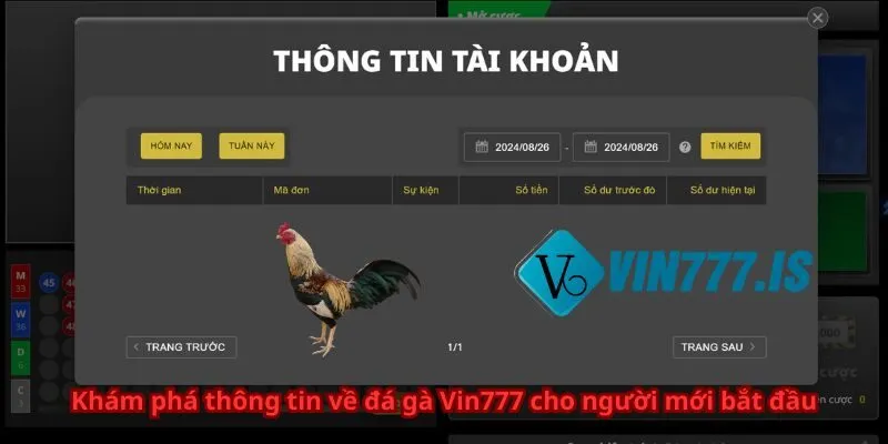 Khám phá thông tin về đá gà Vin777 cho người mới bắt đầu