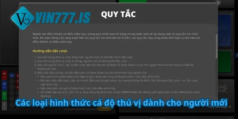 Các loại hình thức cá độ thú vị dành cho người mới