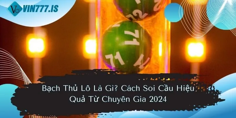 Bạch Thủ Lô Là Gì? Cách Soi Cầu Hiệu Quả Từ Chuyên Gia